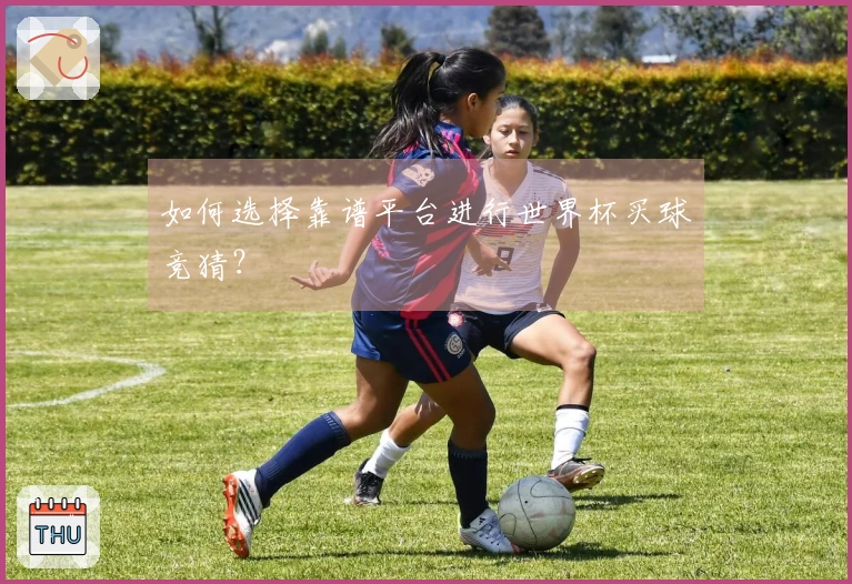如何选择靠谱平台进行世界杯买球竞猜？