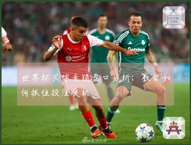 世界杯买球竞猜盘口分析：教你如何抓住投注良机