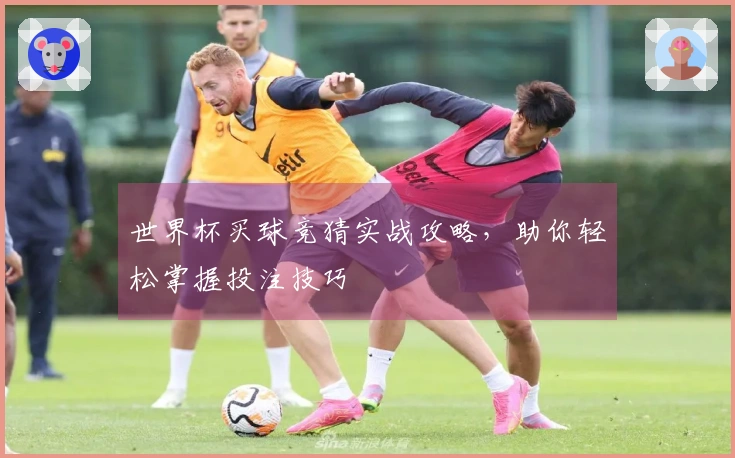 世界杯买球竞猜实战攻略，助你轻松掌握投注技巧