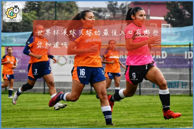 世界杯滚球买球的最佳入口有哪些你知道吗